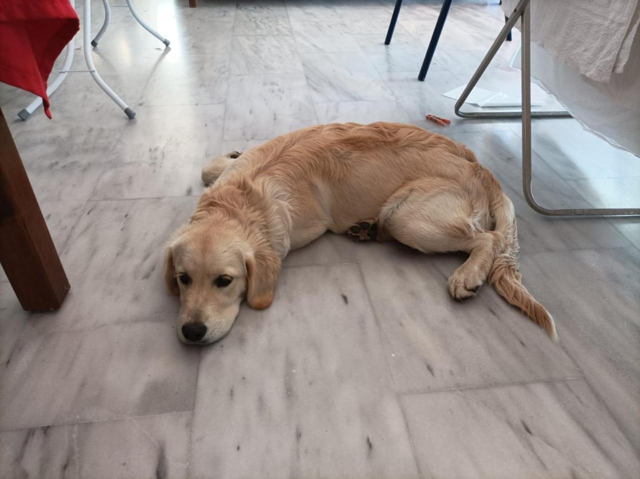 Calamon Apartments Episzkopí Kültér fotó